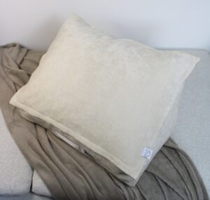 TRAVEL BAG Indoor Beige Velours